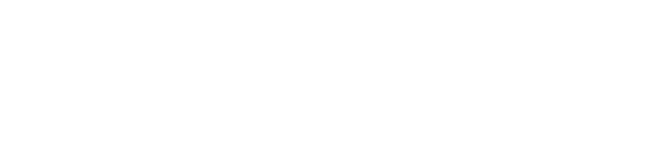 Anicom Holdings, Inc.