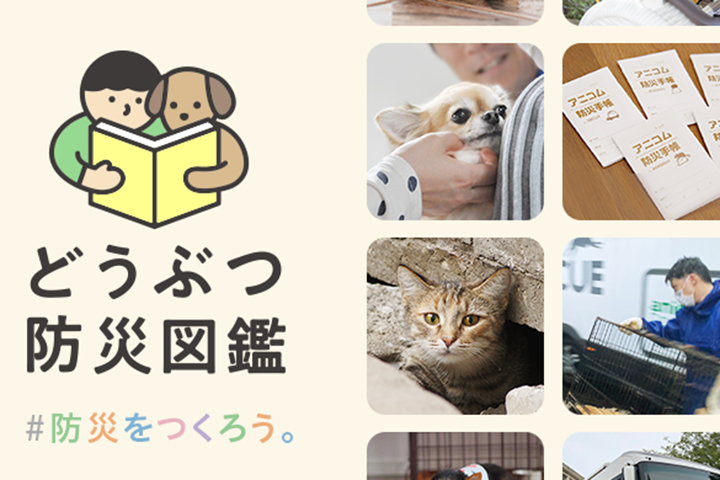 Animal Disaster Prevention Guide