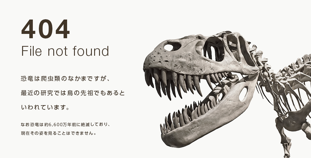 404 File not found