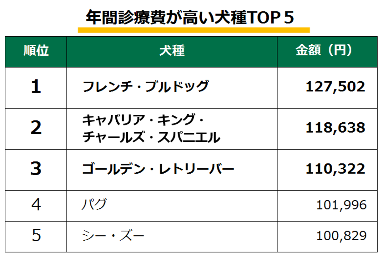 アニコム ペット 保険