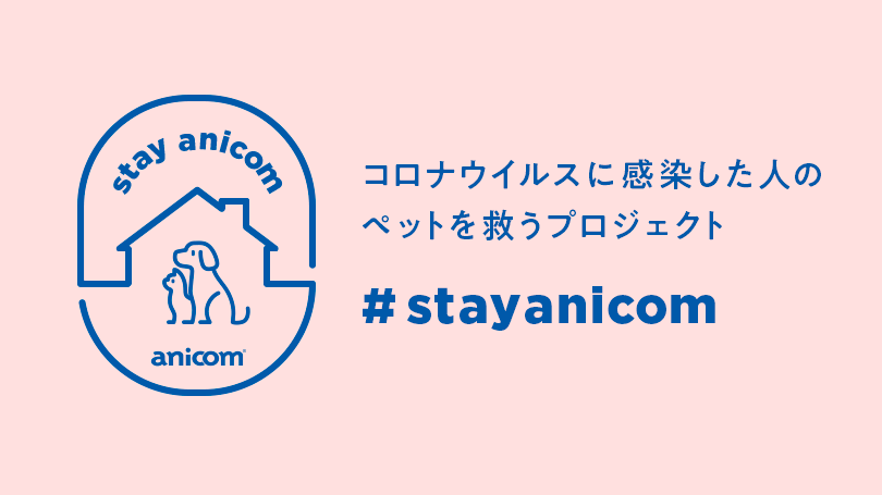 コロナ感染者のペットを無償でお預かりする Stayanicom プロジェクトを始動 ニュース アニコムホールディングス株式会社